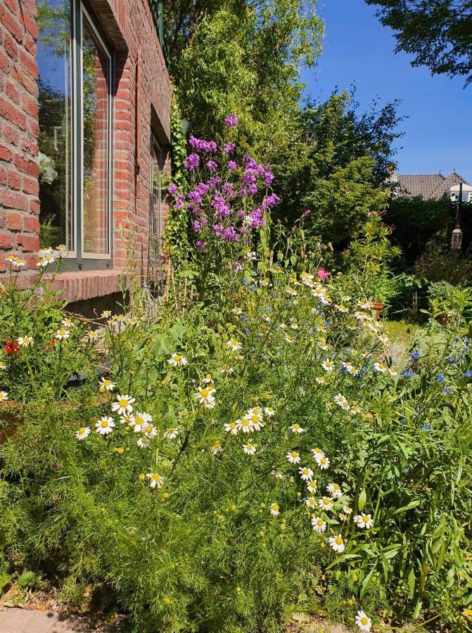 De Vliegende Vlinder Bed & Breakfast Nederweert Екстериор снимка