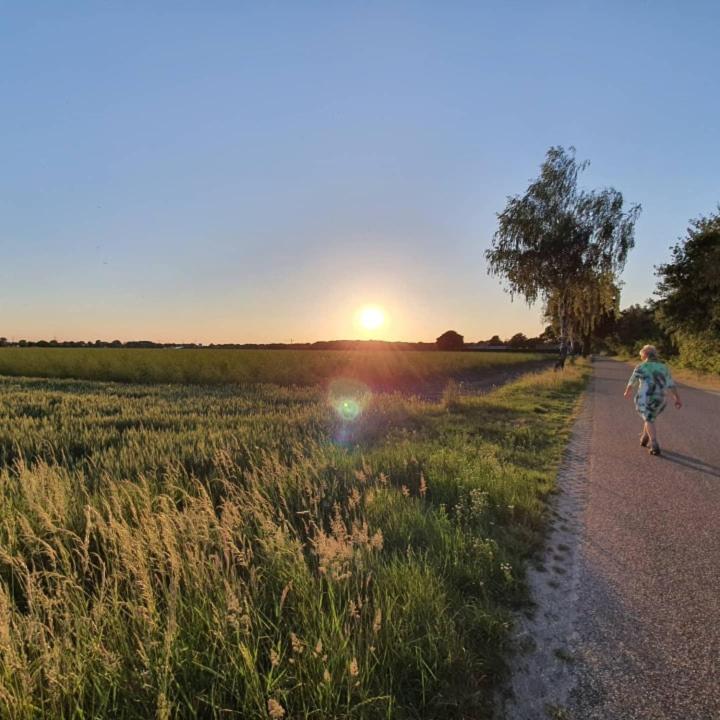 De Vliegende Vlinder Bed & Breakfast Nederweert Екстериор снимка