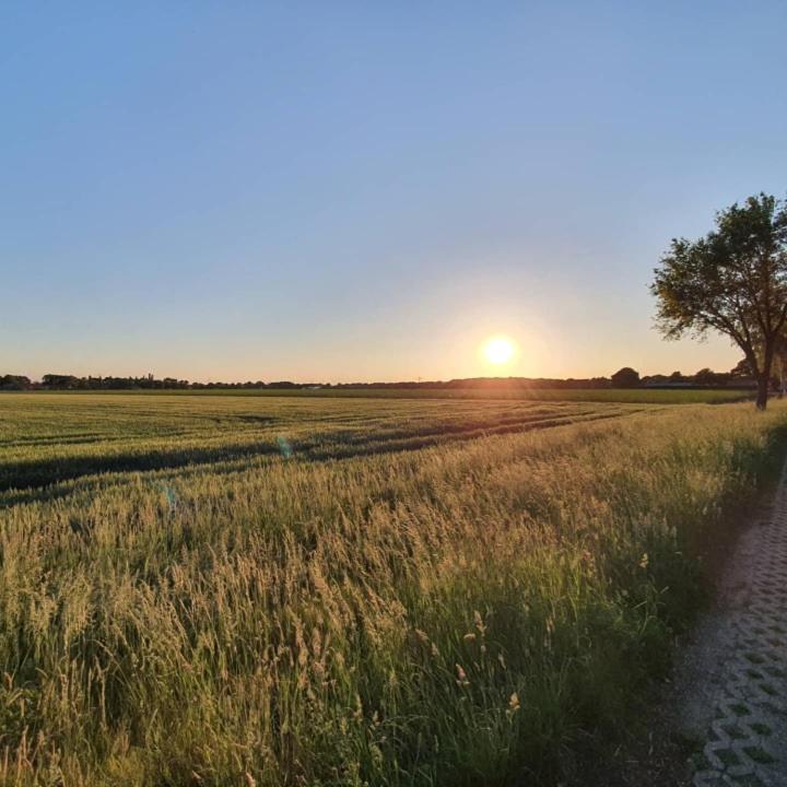 De Vliegende Vlinder Bed & Breakfast Nederweert Екстериор снимка