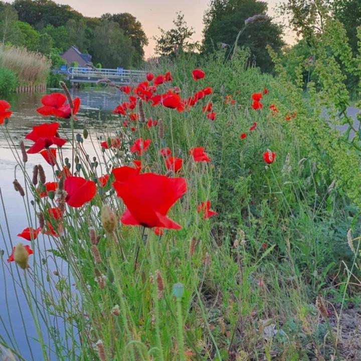 De Vliegende Vlinder Bed & Breakfast Nederweert Екстериор снимка