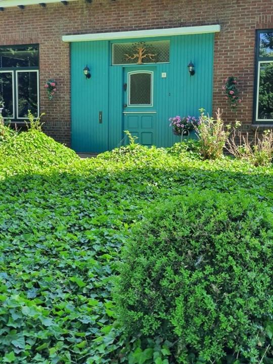 De Vliegende Vlinder Bed & Breakfast Nederweert Екстериор снимка