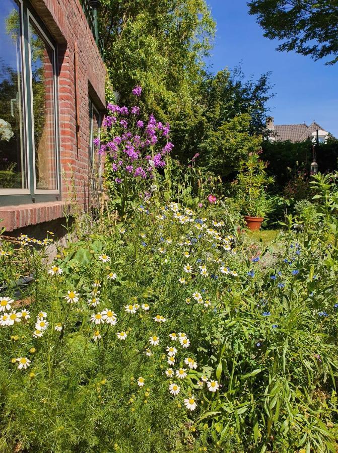 De Vliegende Vlinder Bed & Breakfast Nederweert Екстериор снимка