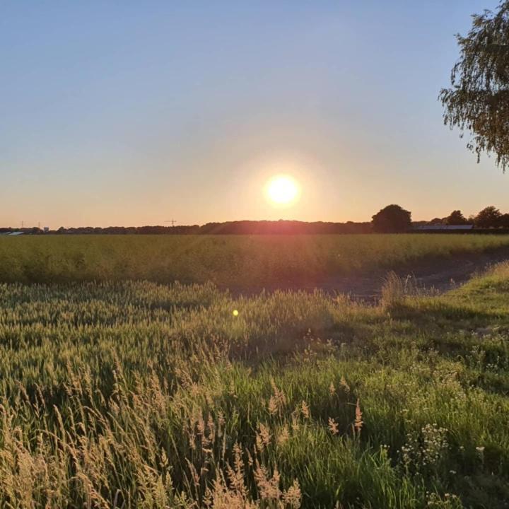 De Vliegende Vlinder Bed & Breakfast Nederweert Екстериор снимка